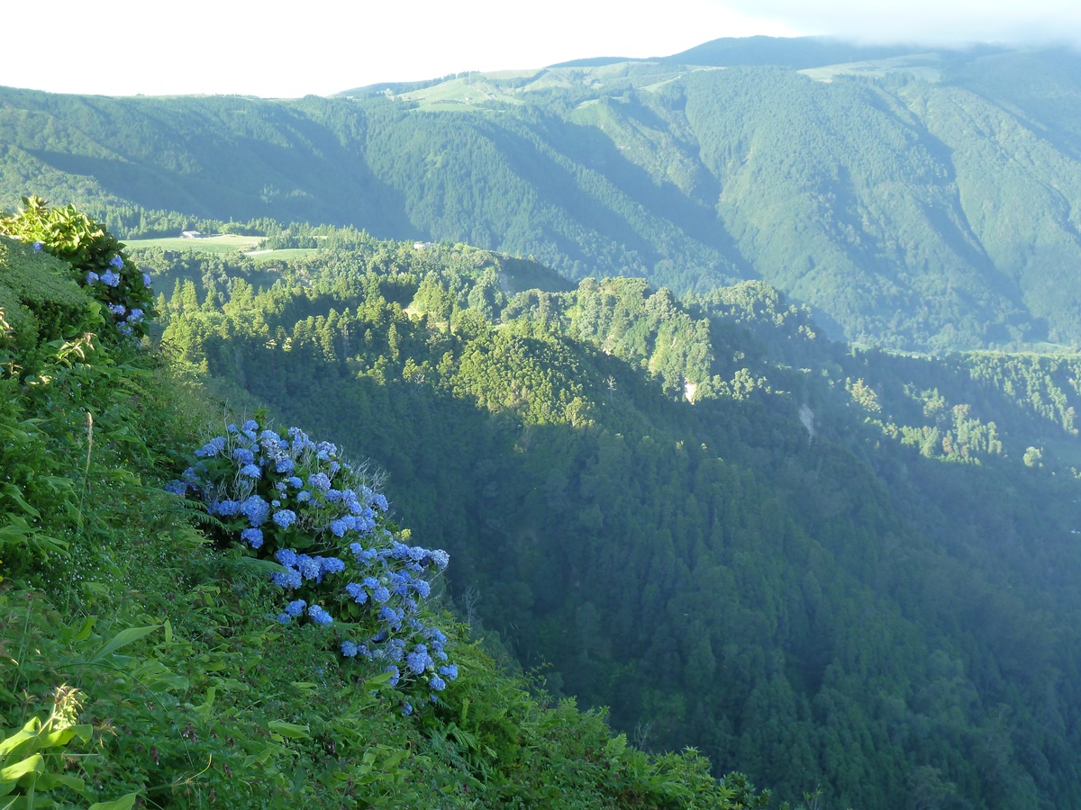 Furnas